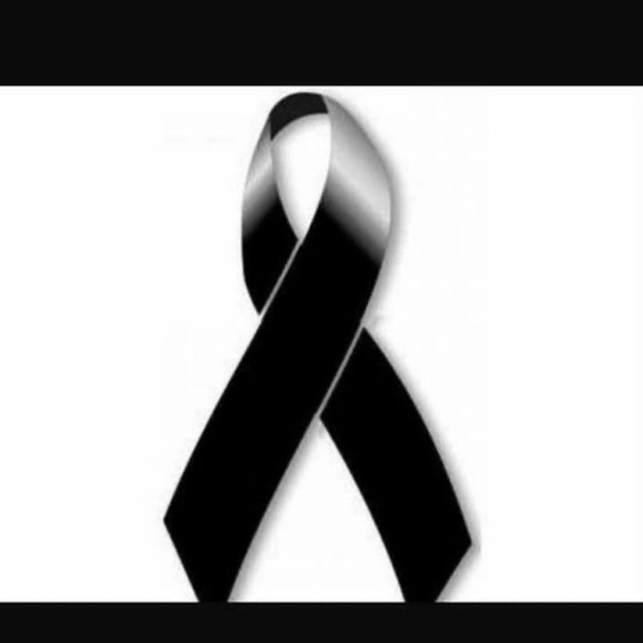 Meet your Posher, Deleon - Picture 1 of 1